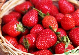 VC果园：2019草莓最新行情：价格“大跳水”，降价幅度超六成！