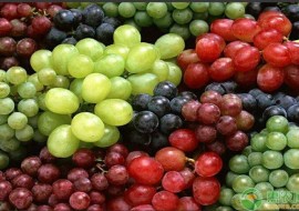 VC果园：酿酒的葡萄品种，酿酒葡萄和食用葡萄的区别
