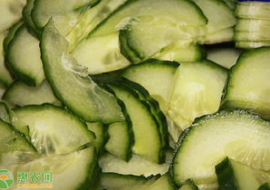 VC果园：黄瓜的吃法有哪些？吃黄瓜的禁忌及功效