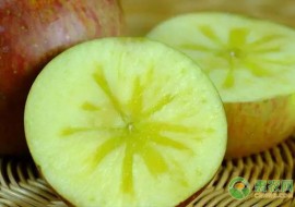 VC果园：丑苹果哪里的好吃？丑苹果和普通苹果的区别在哪？