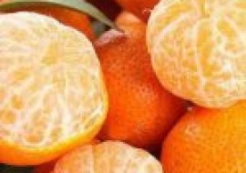 VC果园：砂糖橘多少钱一斤？附12月份砂糖橘价格行情分析