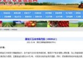 VC果园：黑龙江玉米市场月报（202012）