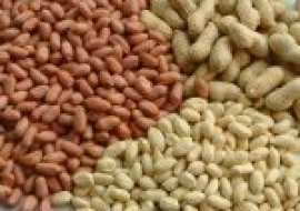 VC果园：预测2021年上半年花生米价格走势