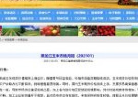 VC果园：黑龙江玉米市场月报（202101）