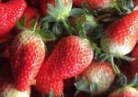 VC果园：2021大棚草莓种植前景