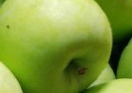 VC果园：特早熟苹果有哪些品种？