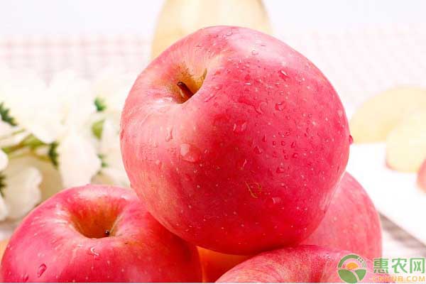 每天吃苹果的最佳时间是何时?苹果削皮吃还是带皮吃好?