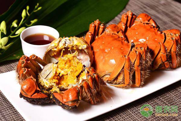 螃蟹和葡萄可以一起吃吗？有哪些中毒症状？