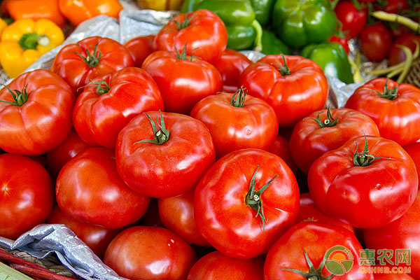 吃西红柿的最佳时间是什么时候？有哪些功效作用？