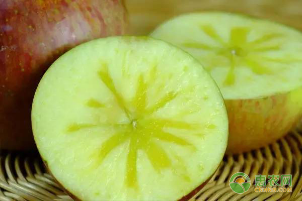 丑苹果哪里的好吃？丑苹果和普通苹果的区别在哪？