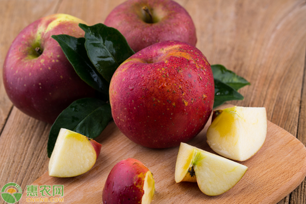 丑苹果是粉的还是脆的？脆苹果和粉苹果有什么区别？