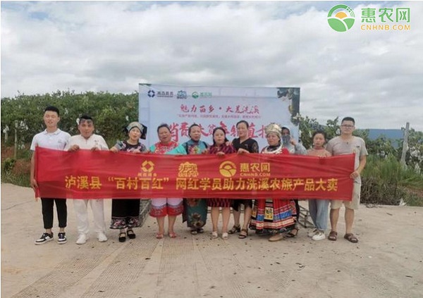 惠农网在泸溪实施“百村百红”网红培训计划，学员直播销售葡萄10天卖出300斤