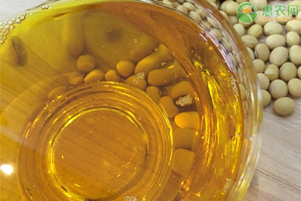 玉米油与花生油的区别是什么？玉米油的功效与作用
