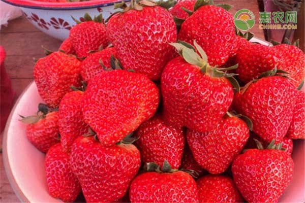 怎么洗草莓？如何辨别打了激素的草莓？