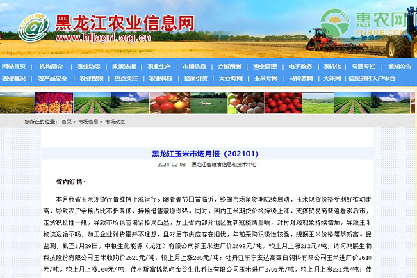 黑龙江玉米市场月报（202101）