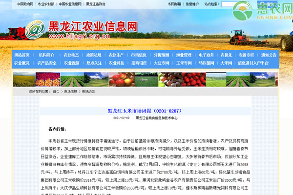 黑龙江玉米市场周报（0201-0207）